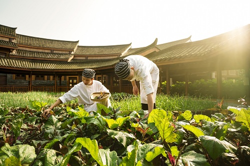 An organic garden at Six Senses Qing Cheng Moutain